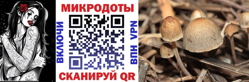 Галлюциногенные грибы ЛСД  Майский 