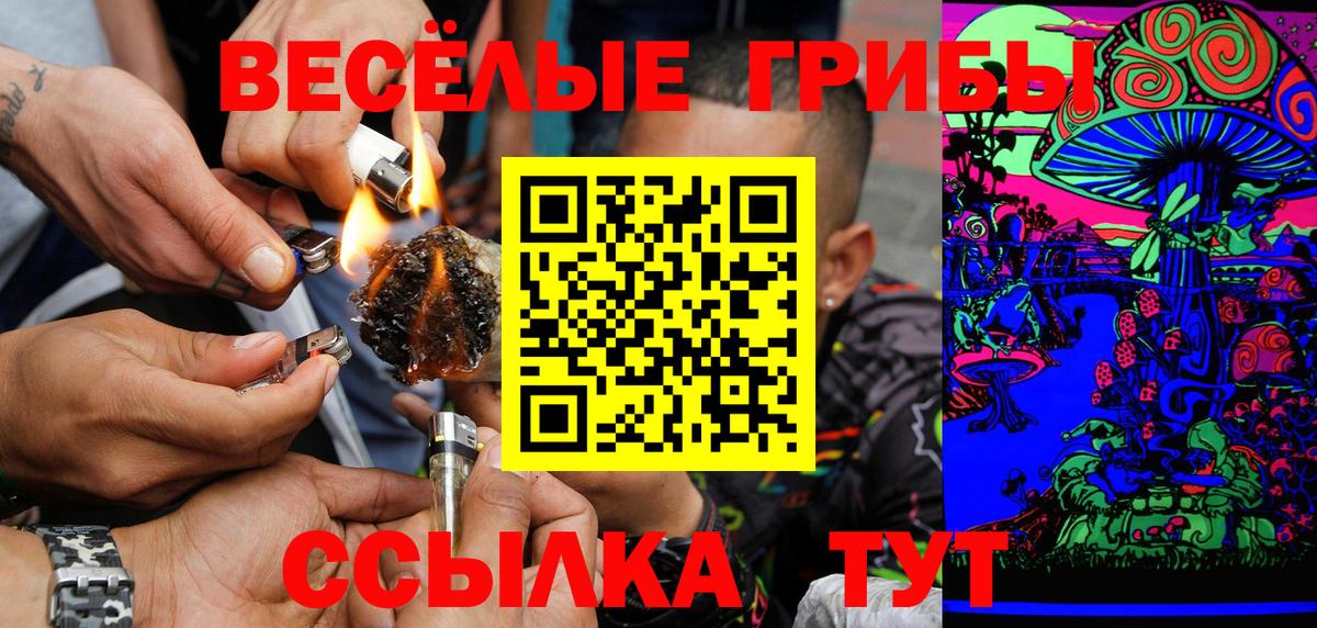 Псилоцибиновые грибы GOLDEN TEACHER Майский