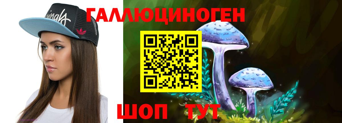 Псилоцибиновые грибы Psilocybe  Вход с VPN  Майский 